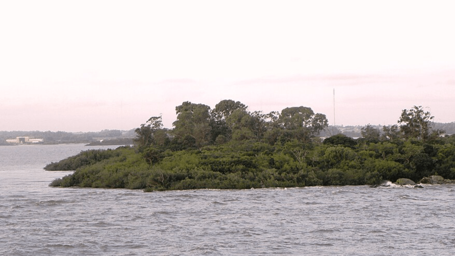 Intendencia iniciará en próximos meses limpieza general en Isla San ...